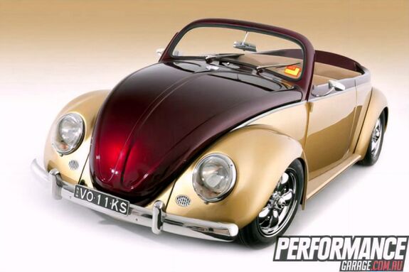 Beetles: Custom and Extreme